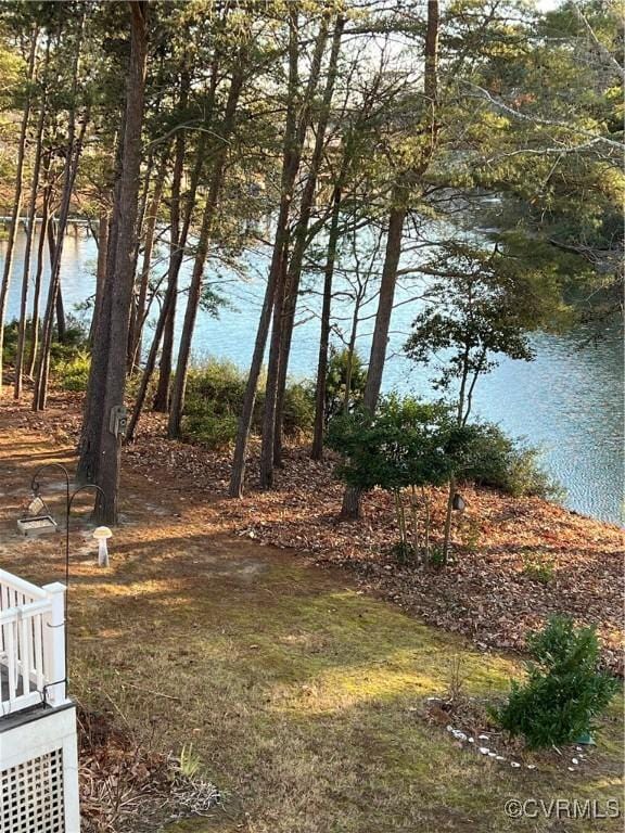 view of yard featuring a water view