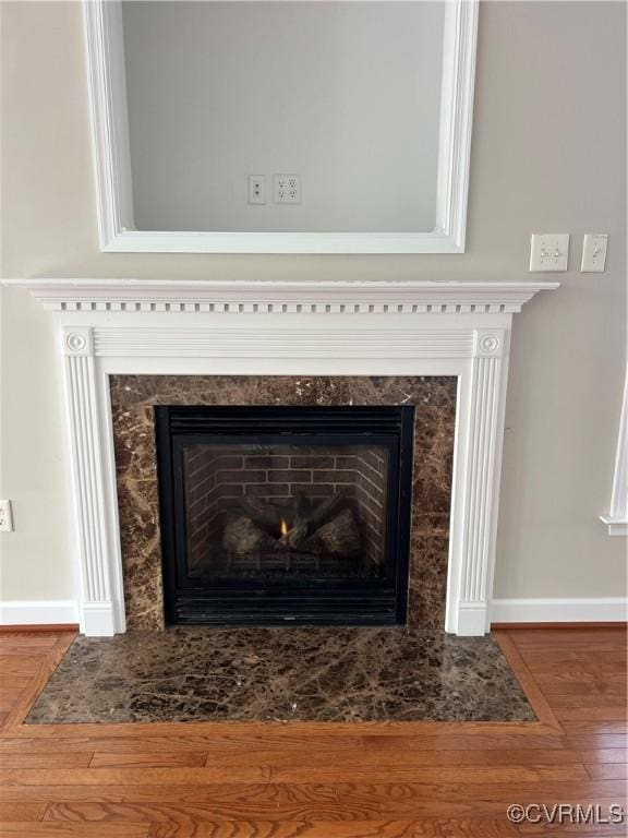 details featuring wood finished floors, a fireplace, and baseboards