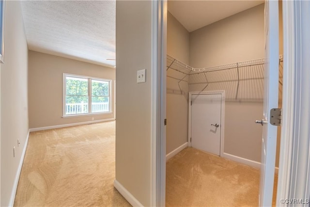 spacious closet with carpet