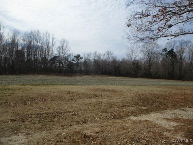 view of nature featuring a view of trees