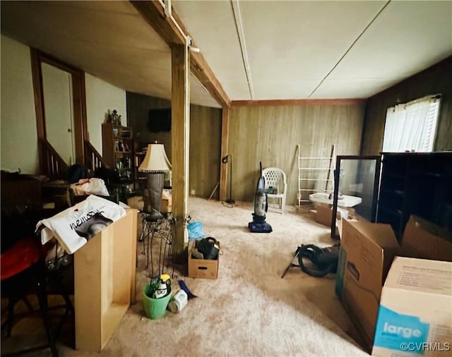 interior space with wood walls and carpet flooring