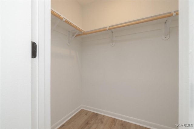 walk in closet featuring light wood finished floors