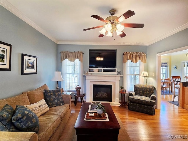 living area featuring a glass covered fireplace, crown molding, a ceiling fan, and wood finished floors