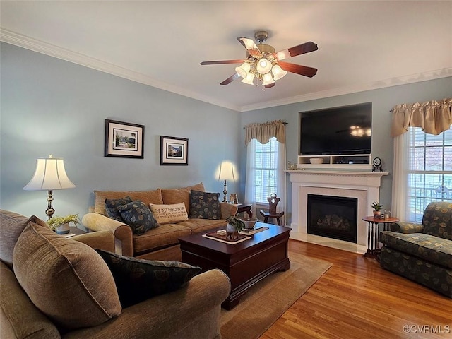 living area featuring a fireplace with flush hearth, a ceiling fan, wood finished floors, and crown molding