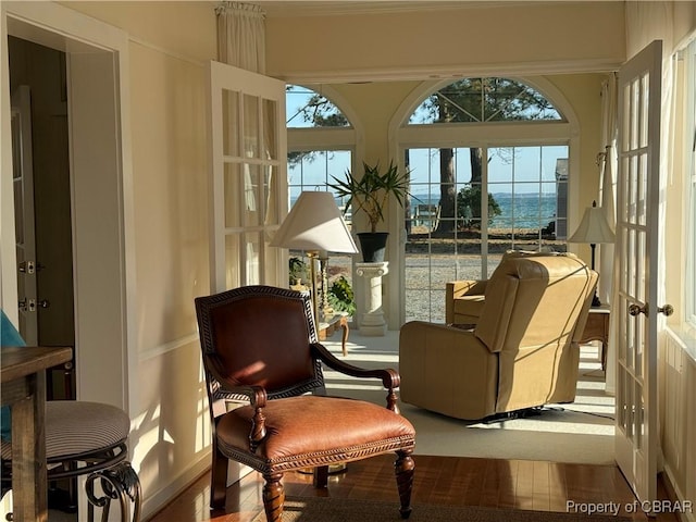 living area featuring a healthy amount of sunlight and french doors