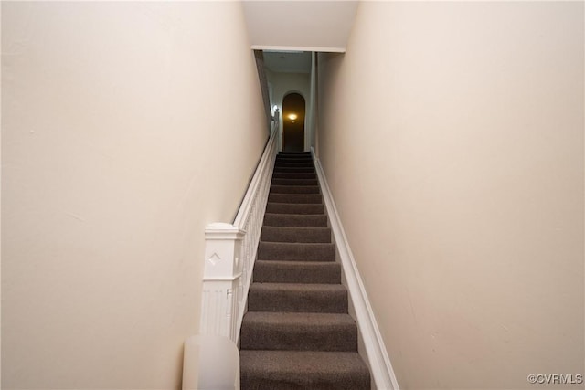 stairs featuring carpet flooring