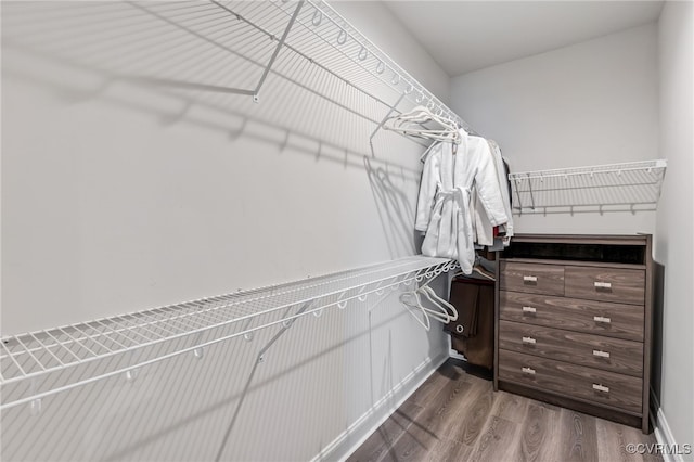 spacious closet with wood finished floors