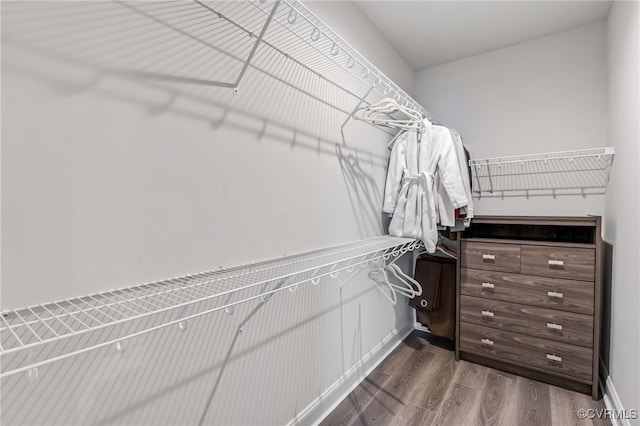 walk in closet with wood finished floors