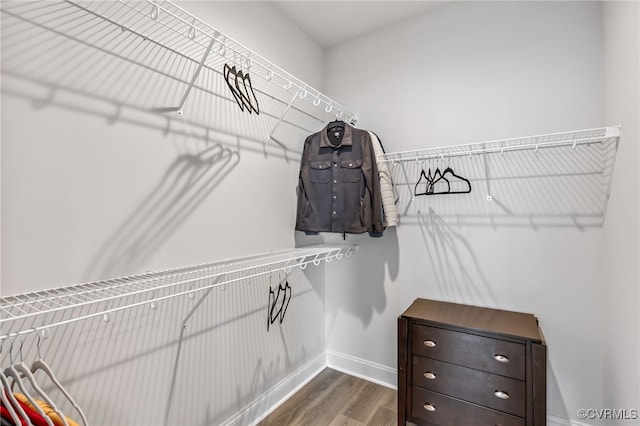 walk in closet with wood finished floors