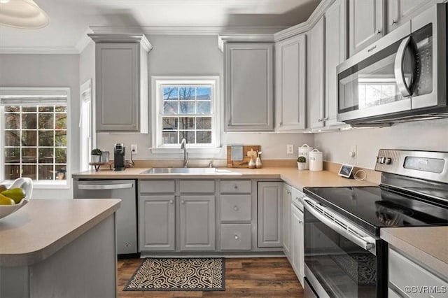 kitchen featuring crown molding, light countertops, gray cabinets, appliances with stainless steel finishes, and dark wood-style flooring