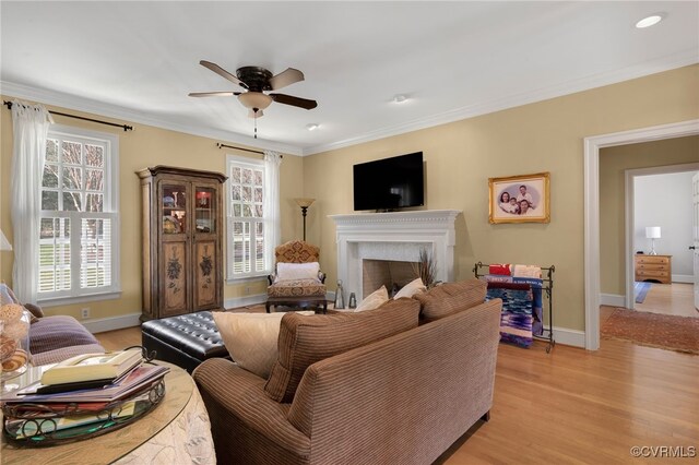 living area featuring a healthy amount of sunlight, light wood-style flooring, a fireplace, and crown molding