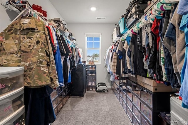 walk in closet with visible vents and carpet floors