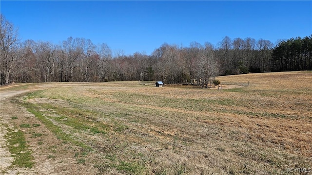 view of yard featuring a rural view and a wooded view