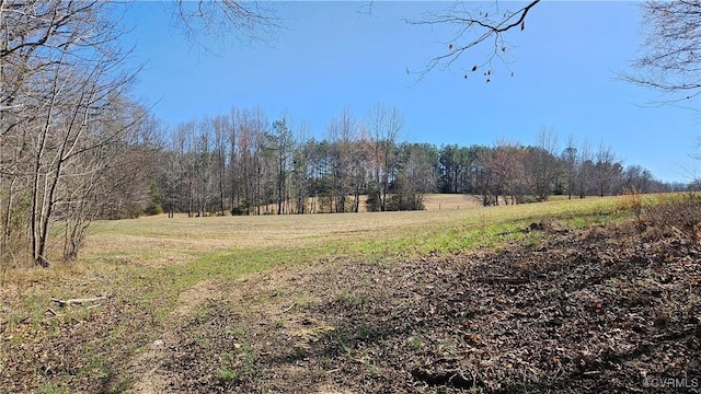 view of yard featuring a forest view and a rural view