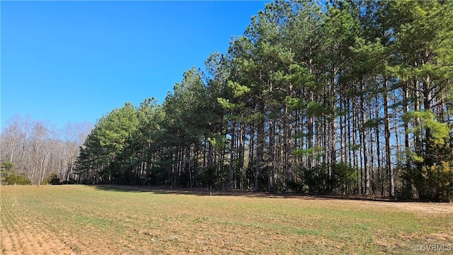 view of yard with a wooded view