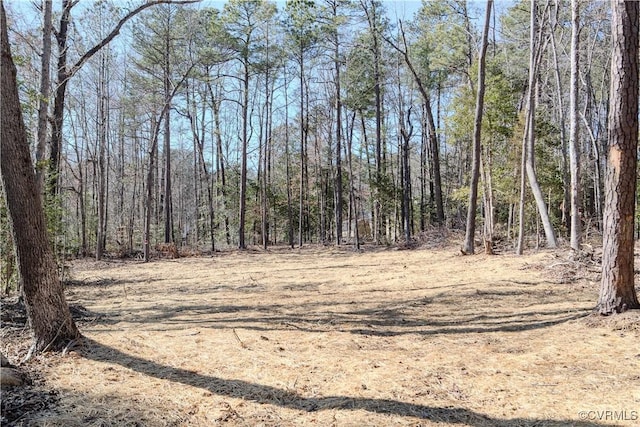 view of local wilderness featuring a view of trees