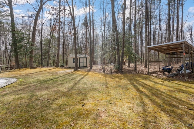 view of yard featuring a storage unit and an outbuilding