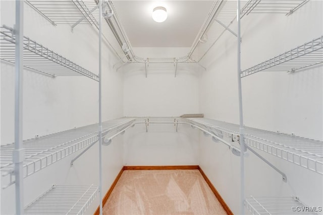 walk in closet featuring light carpet