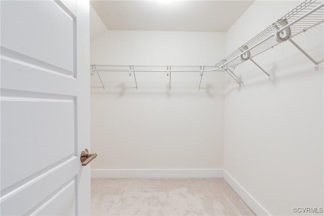 spacious closet featuring carpet