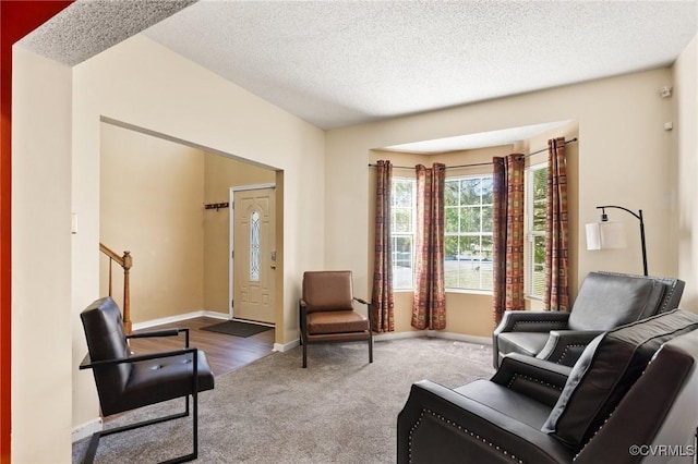 living area featuring baseboards, a textured ceiling, and carpet flooring