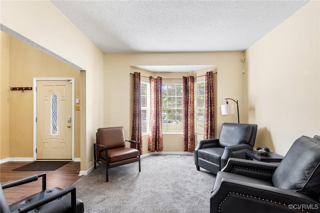 living area featuring carpet, baseboards, and a textured ceiling