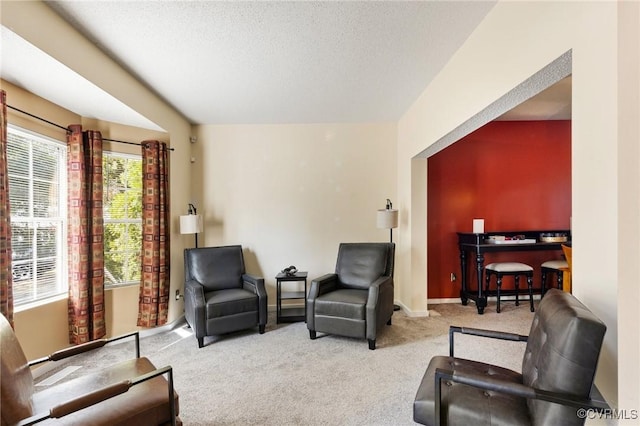 sitting room featuring carpet flooring, baseboards, and a textured ceiling