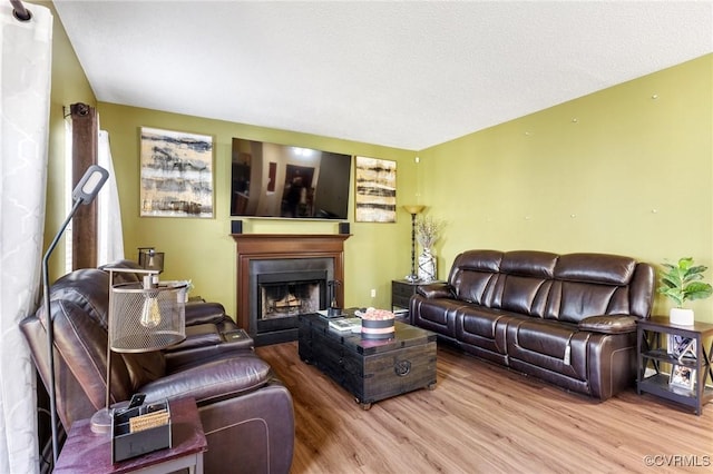 living room featuring a fireplace and wood finished floors