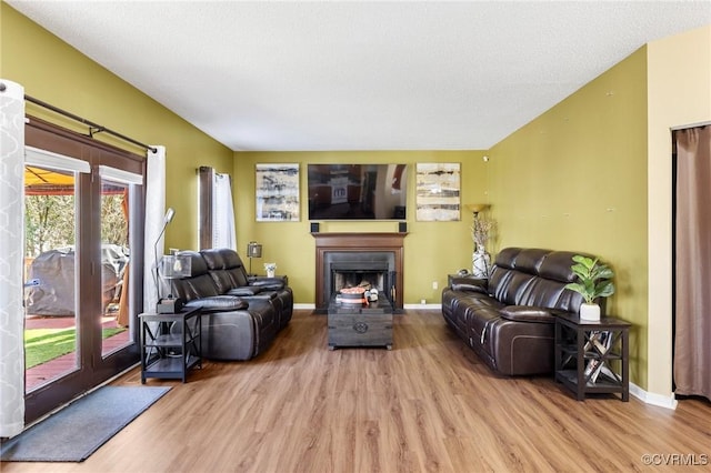 living area featuring baseboards, wood finished floors, and a fireplace