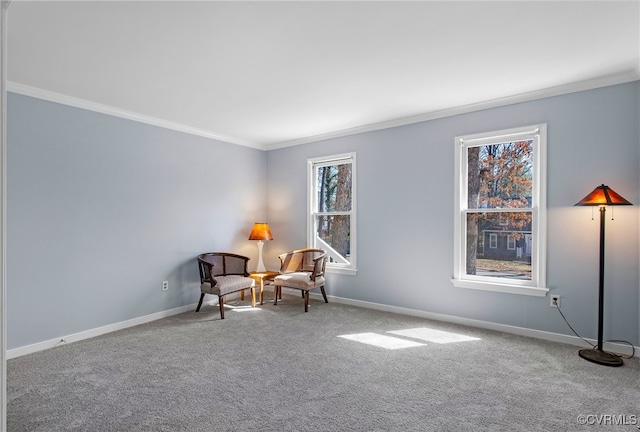 living area with crown molding, carpet, and baseboards