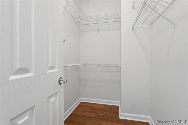 spacious closet with wood finished floors