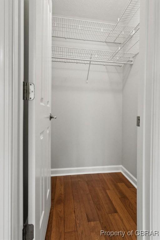 spacious closet with dark wood-style flooring