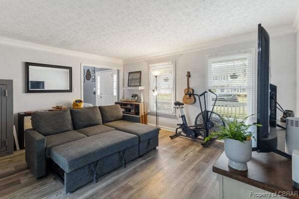 living area with crown molding, wood finished floors, and a textured ceiling