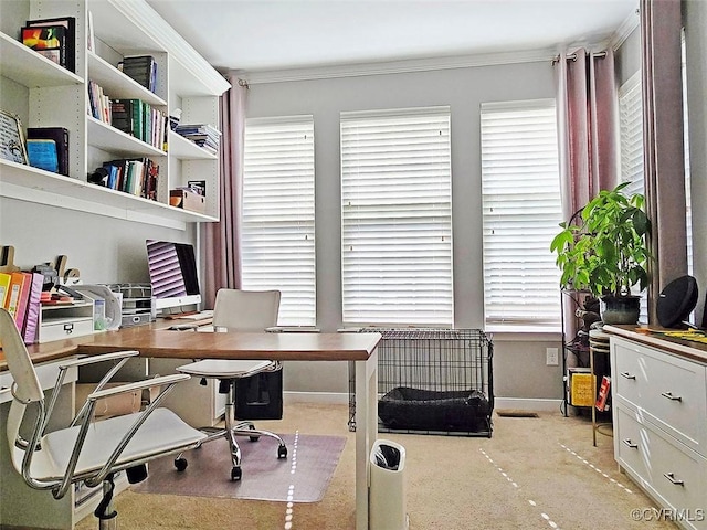 office space with crown molding and baseboards