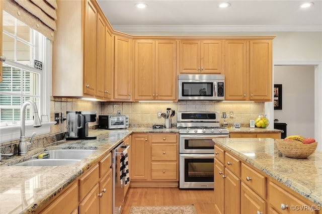 kitchen with light wood-style flooring, a toaster, ornamental molding, a sink, and appliances with stainless steel finishes