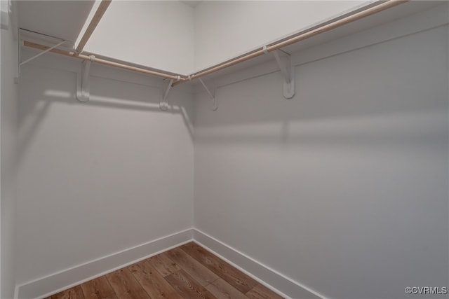 walk in closet featuring wood finished floors