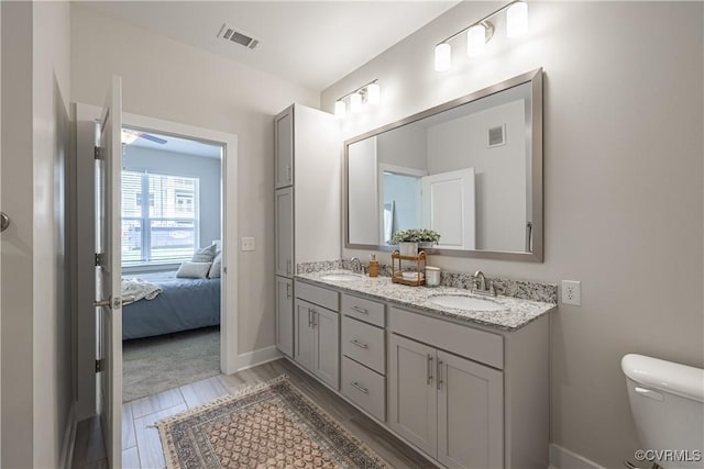 10530 Stony Bluff Dr Unit 205, Ashland, VA 23005 - ensuite bathroom featuring double vanity, visible vents, toilet, and a sink