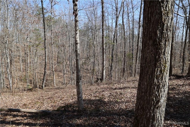 Listing photo 2 for 0 Golf Course Rd, Halifax VA 24558