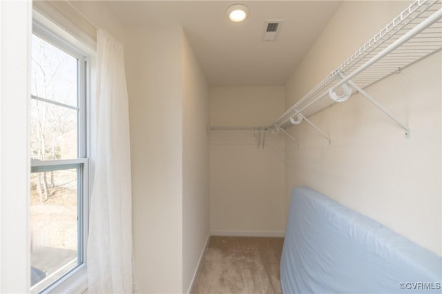 spacious closet featuring carpet flooring and visible vents