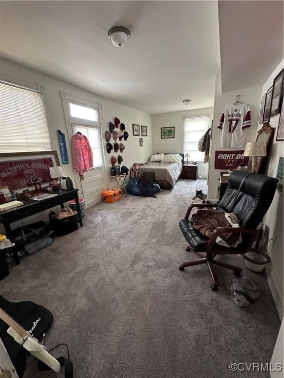 carpeted living room with a healthy amount of sunlight