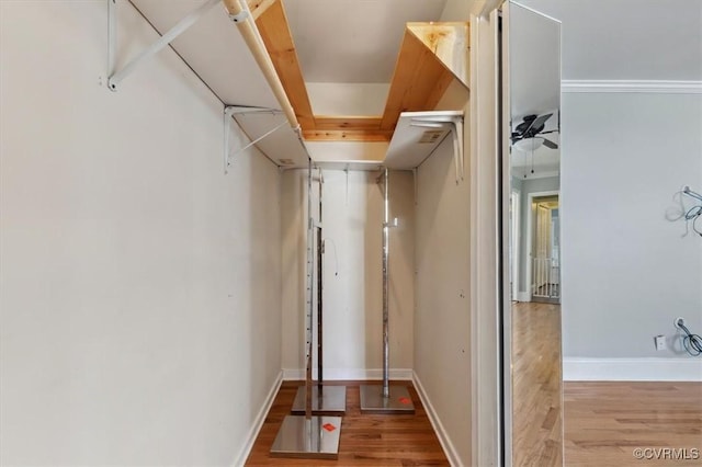 walk in closet featuring light wood finished floors