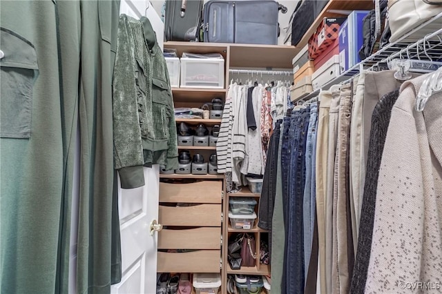 view of walk in closet