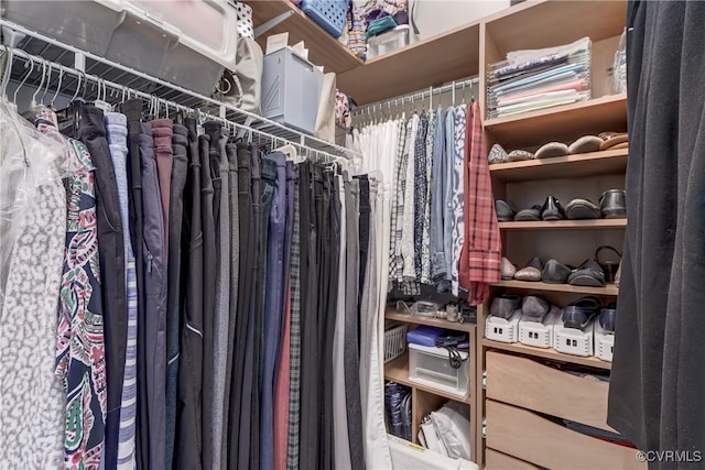 view of walk in closet