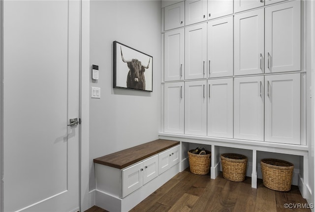 mudroom featuring dark wood finished floors