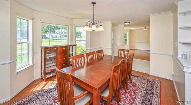 3090 Magnolia Woods Ct, Quinton, VA 23141 - dining space with baseboards, a chandelier, a healthy amount of sunlight, and light wood-style flooring