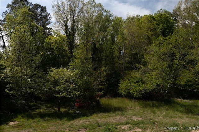 2048 Twiggs Ferry Rd, Hartfield, VA 23071