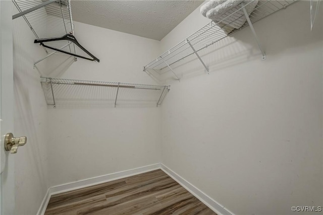 walk in closet featuring dark wood-type flooring