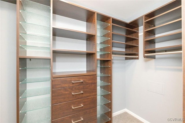 walk in closet with carpet floors