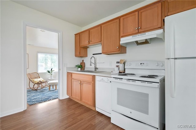 kitchen featuring light wood-style flooring, under cabinet range hood, a sink, white appliances, and light countertops