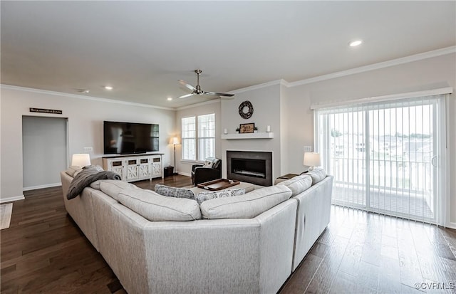 living room featuring ceiling fan, dark wood-style flooring, a fireplace, and crown molding