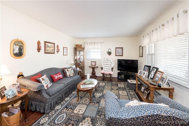 living area featuring wood finished floors